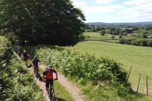 Balade accompagnée par un guide en trottinette électrique autour du lac des Settons, Morvan