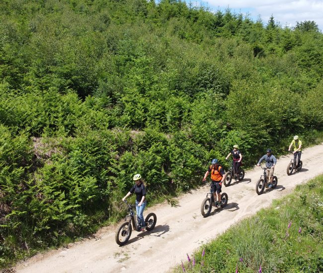 Balade accompagnée par un guide en trottinette électrique autour du lac des Settons, Morvan