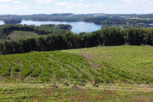 Balade accompagnée par un guide en trottinette électrique autour du lac des Settons, Morvan