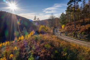 Location de VTT autour du lac des Settons, Morvan