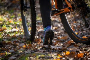 Location de VTT autour du lac des Settons, Morvan