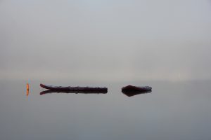 Location de paddle sur le lac des Settons, Morvan